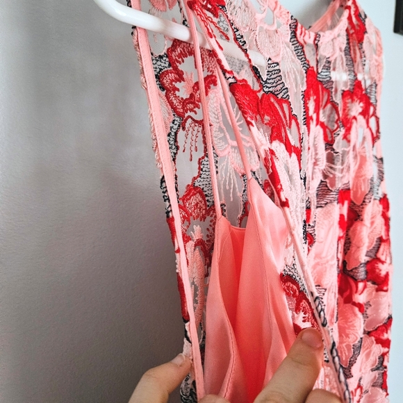 NWT Donna Ricco Strawberries & Cream Pink Sheer Embroidered Fit-and-Flare Dress - Picture 3 of 8